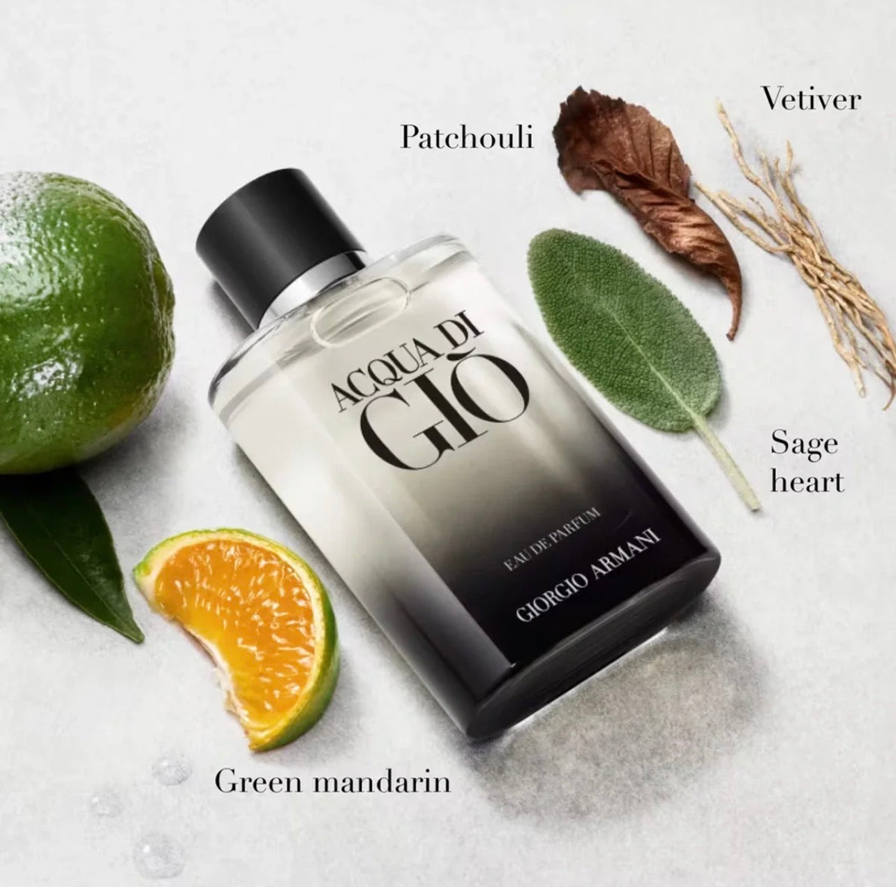 GIORGIO ARMANI Acqua Di Gio 2.5 oz EDP for men
